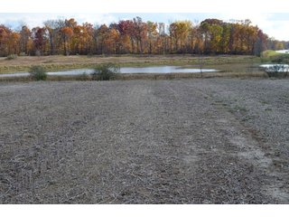 Property photo 20 - 127 Acres Offered in 8 Tracts - Allen & Dekalb County Land